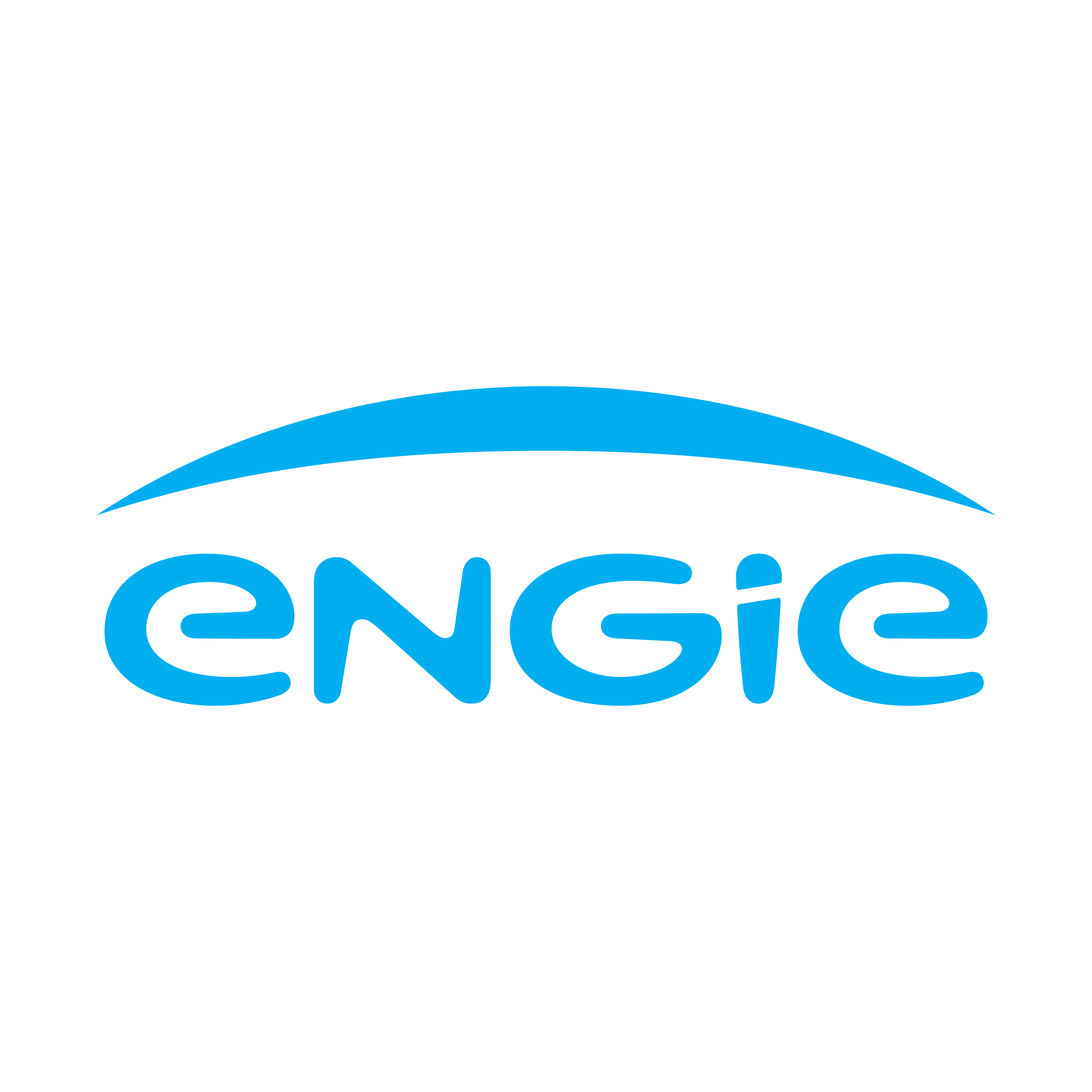 ENGIE Preferred Vendor